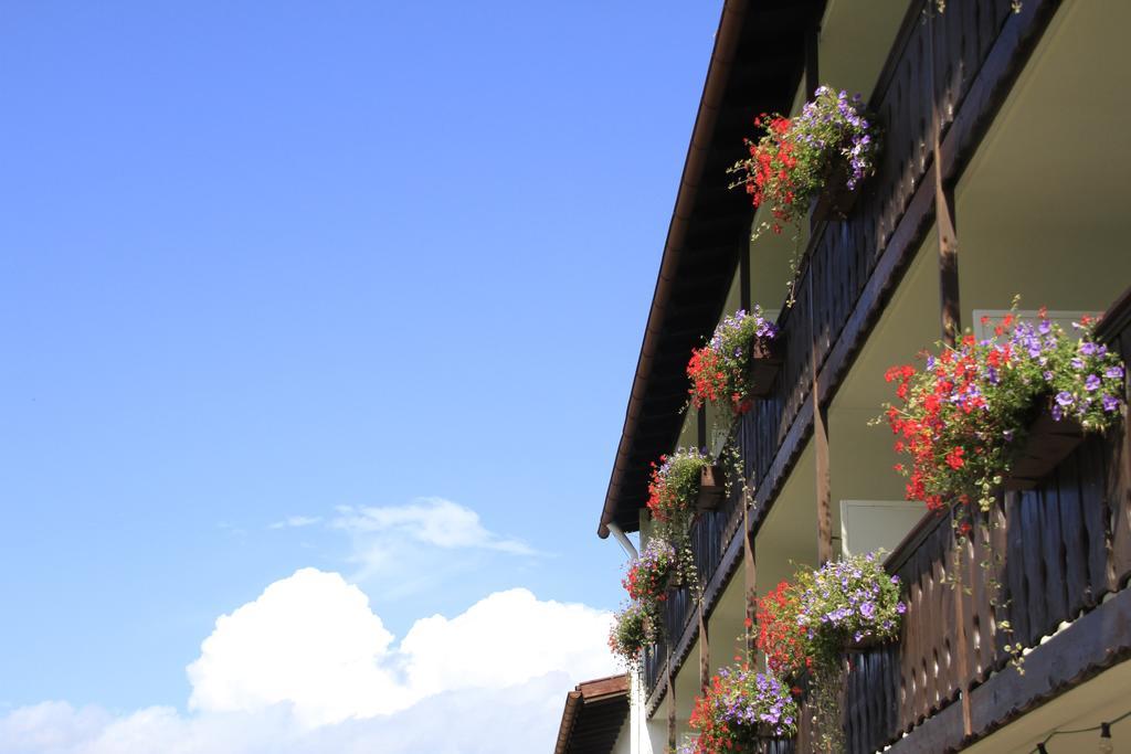 Hotel Alpenblick Berghof هالبليخ الغرفة الصورة